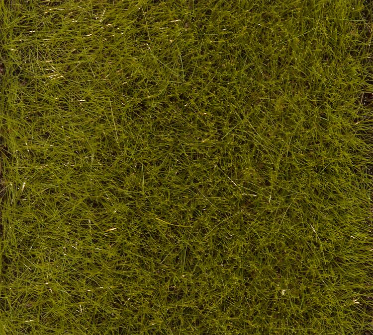 Grässtrå 6mm, försommargrön