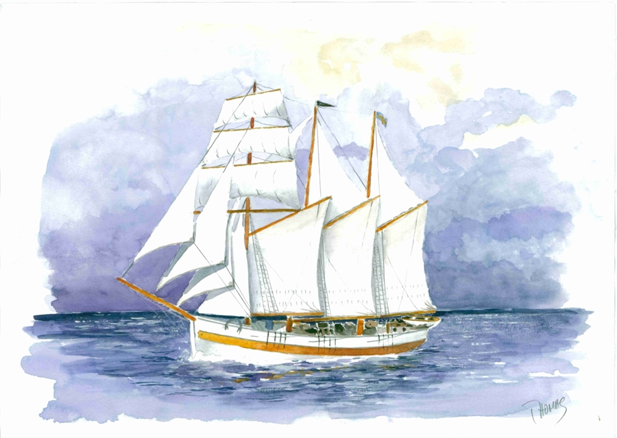 The Schooner Vega 1/35 (87 cm)
