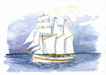 The Schooner Vega 1/35 (87 cm)