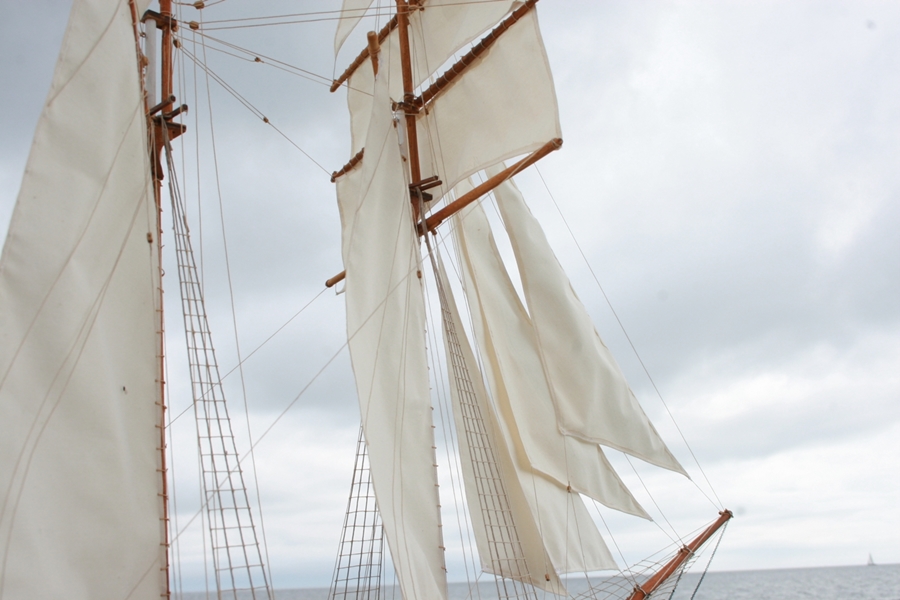 The Schooner Vega 1/35 (87 cm) - 7