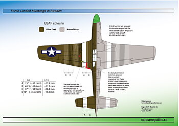 P-51 B7 Force Landed Mustangs