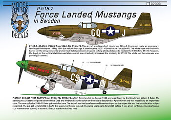 P-51 B7 Force Landed Mustangs