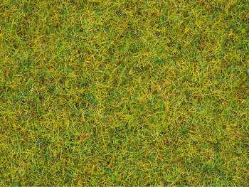 Statiskt gräs 2.5 mm Sommaräng