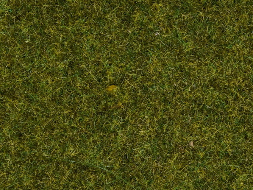 Statiskt gräs 2.5 mm Äng