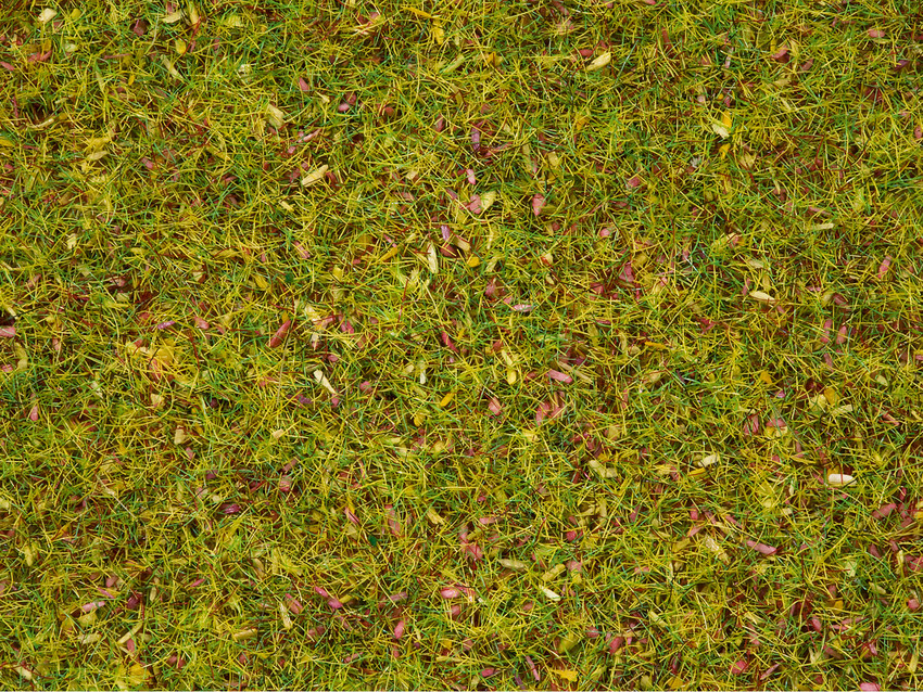 Statiskt gräs 2.5 mm Blomäng