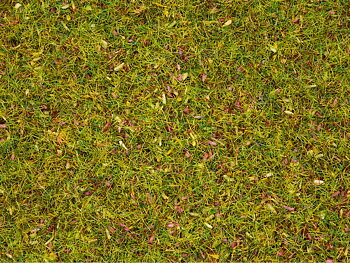 Statiskt gräs 2.5 mm Blomäng