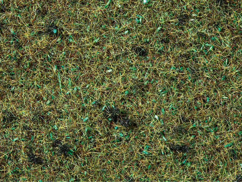 Statiskt gräs 2.5 mm Skogsmark