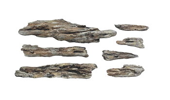 Shelf Rock