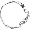 WHITE SCAR