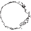 WHITE SCAR