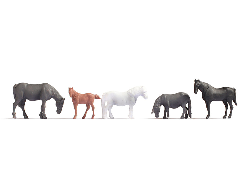 Horses