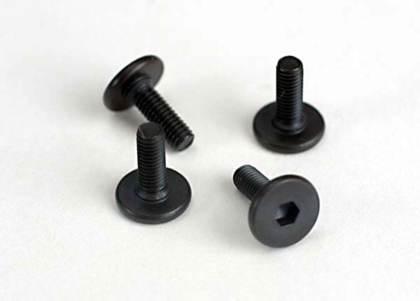  Screws, 3x10mm flat-head machine (hex drive) (4)
