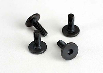  Screws, 3x10mm flat-head machine (hex drive) (4)