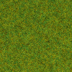 Gräs äng 2,5mm