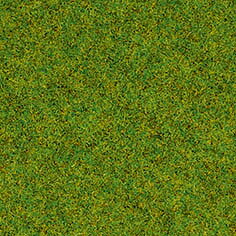 Gräs äng 2,5mm