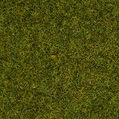 Gräs äng 2,5 mm