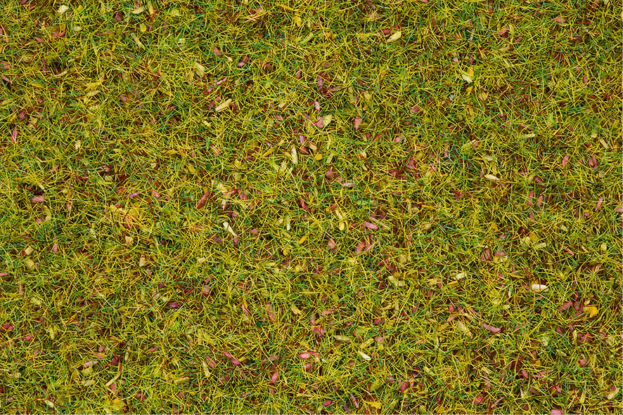 Gräs blomsteräng 2,5 mm