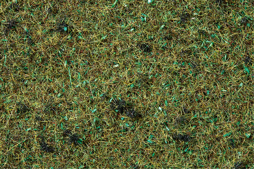 Gräs skogsmark 2,5 mm