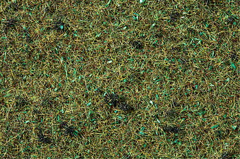 Gräs skogsmark 2,5 mm