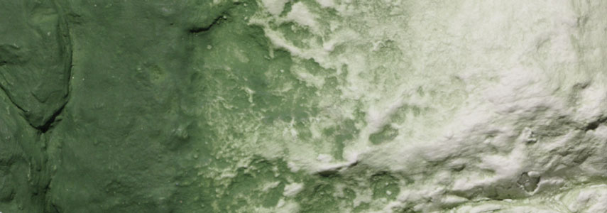 Earth Color, Green Undercoat - 2
