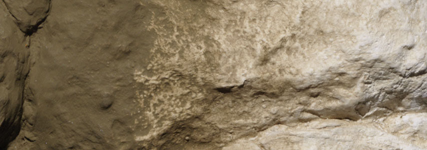 Earth Color, Earth Undercoat - 2