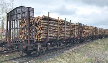 Timmervagn Lnps891 42 74 412 9 432-4, SJ nylevererad