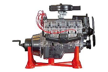 Visible V-8 Engine 1/4