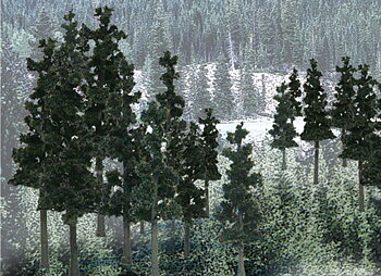 Trees Conifer 2.5-4"