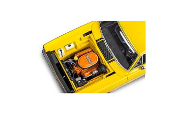 70' Plymouth Roadrunner 1/24
