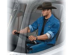 Truckers series. Mike (Beach Boy) Barrington, 1/24