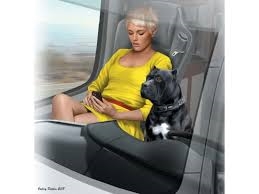 Truckers series. Joni Johnson & her dog Maxx, 1/24