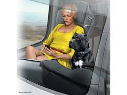 Truckers series. Joni Johnson & her dog Maxx, 1/24