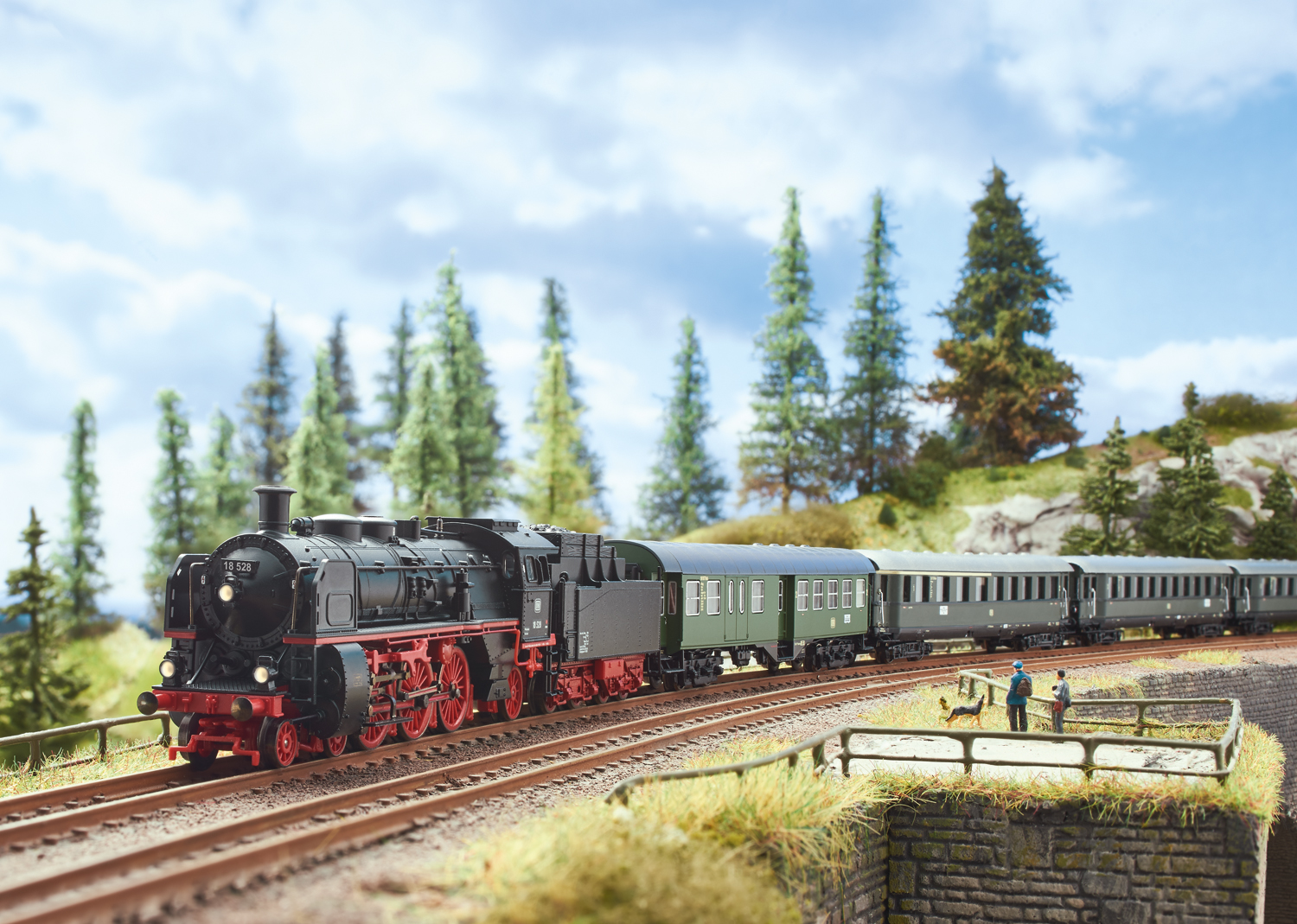 Steam Locomotive, Road Number 18 495 - 2