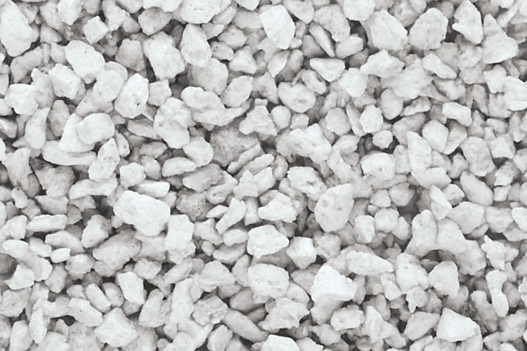 Talus medium natural