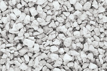 Talus medium natural