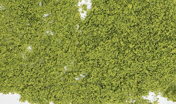 Foliage. light green