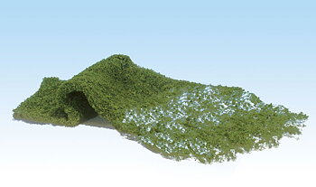 Foliage. light green