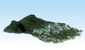 Foliage. dark green