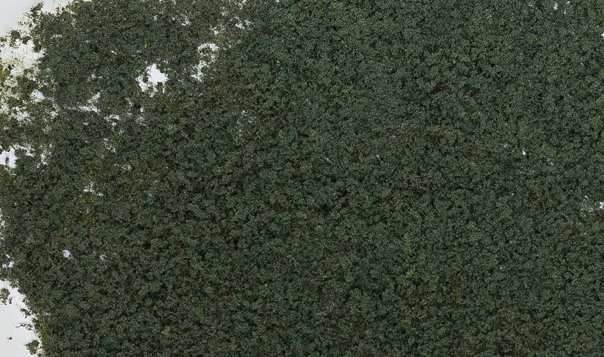Foliage. conifer green