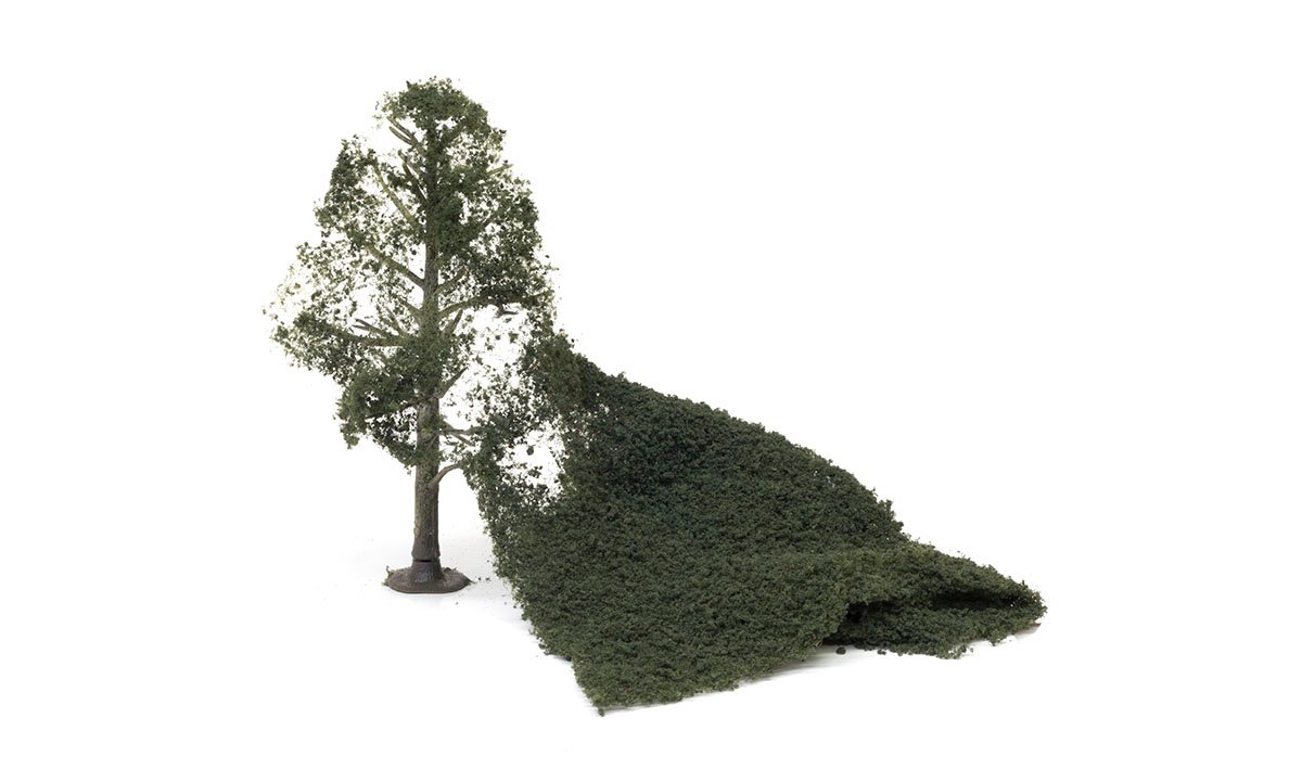 Foliage. conifer green - 3