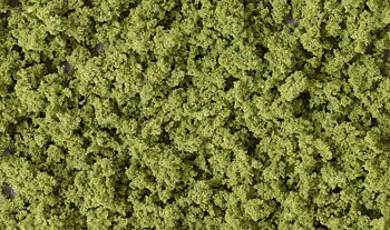 Underbrush CF light green