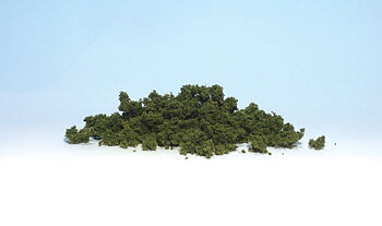 Underbrush CF light green