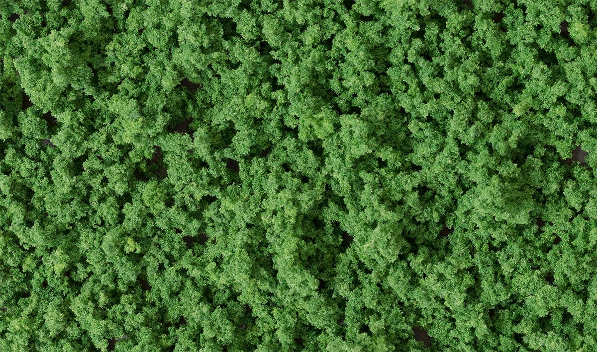 Underbrush CF medium green