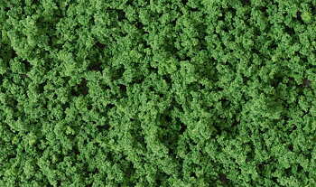 Underbrush CF medium green