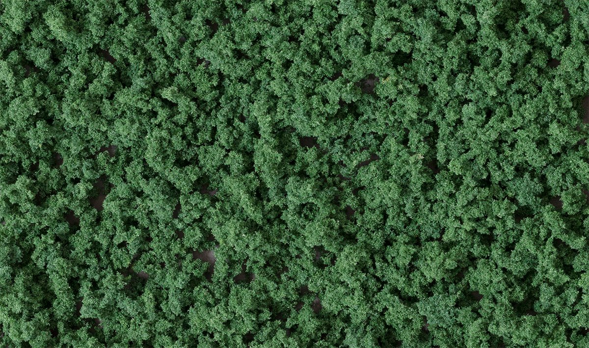 Underbrush CF dark green