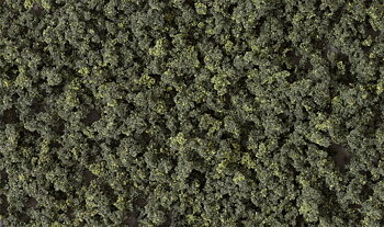 Underbrush CF forest blend