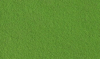 Turf. green grass