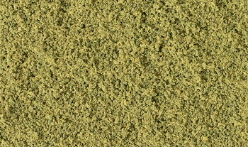 Coarse Turf. burnt grass