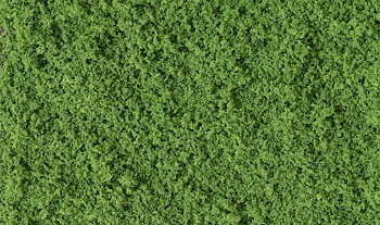 Coarse Turf. Medium green