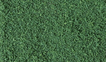 Coarse Turf. Dark green
